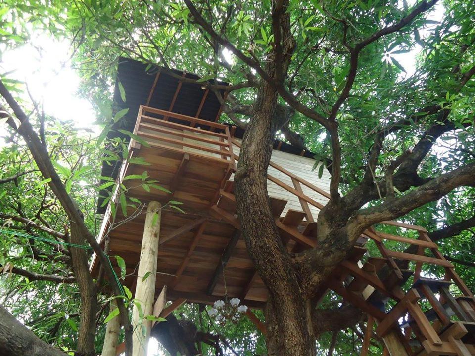 Barroco Na Bahia Hotel